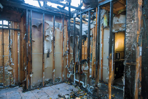 Professional Odor Removal technician working in Beverly, OH