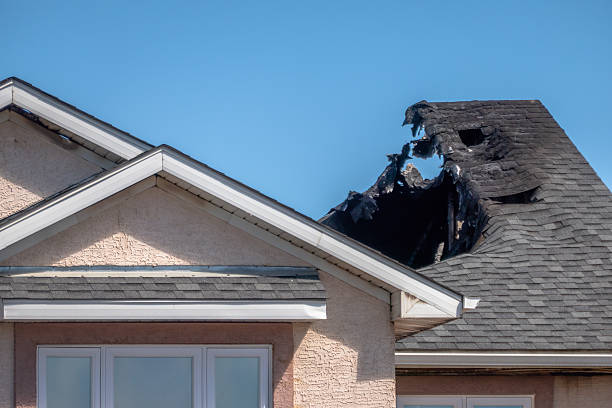 Top rated local Odor Removal specialists in Beverly, OH